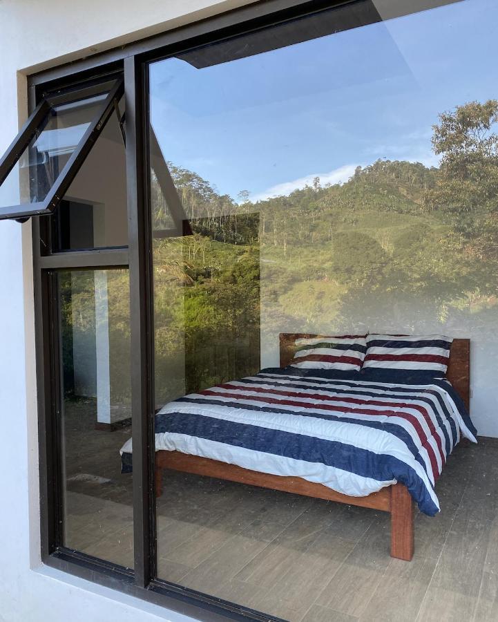 Arte De Plumas Birding Bed & Breakfast Cartago